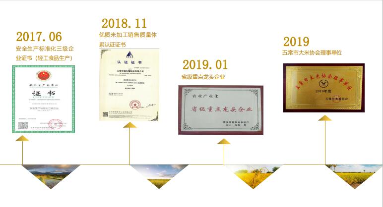 發展歷程2.jpg